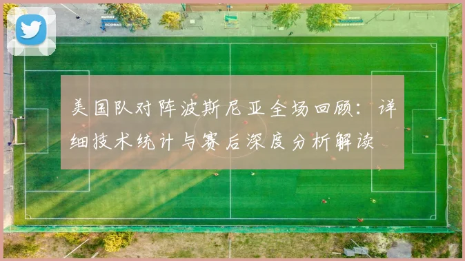 美国队对阵波斯尼亚全场回顾:详细技术统计与赛后深度分析解读